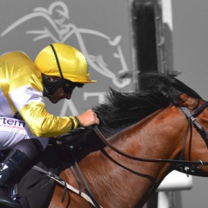 Staxton