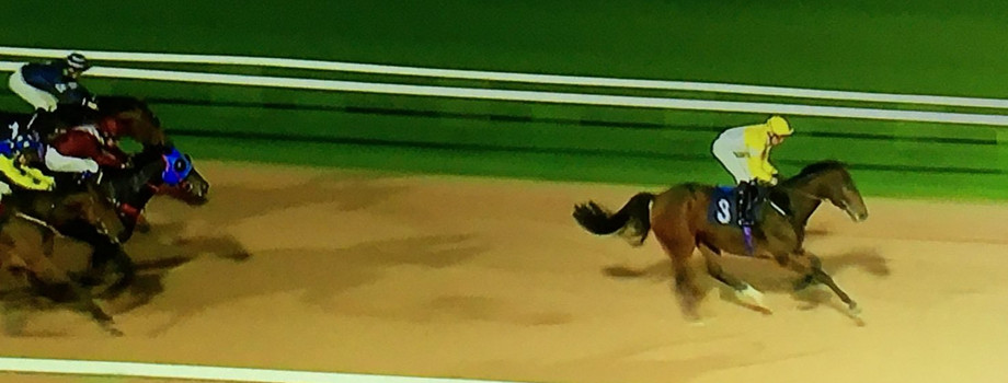 Suitcase N Taxi Sends Them Packing On To A Winner