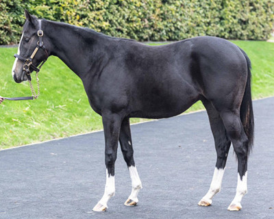 Oasis Rock aalimain400x320